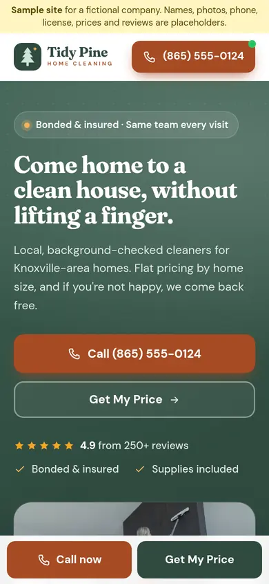 Tidy Pine Home Cleaning demo site, phone view